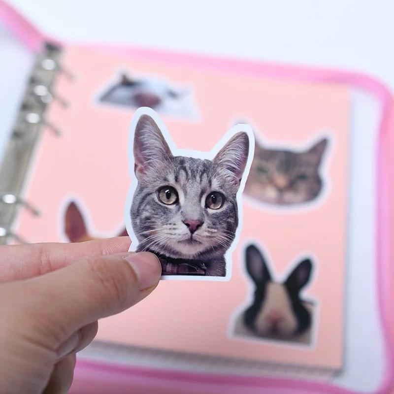 custom pet portrait sticker set (12 pack)