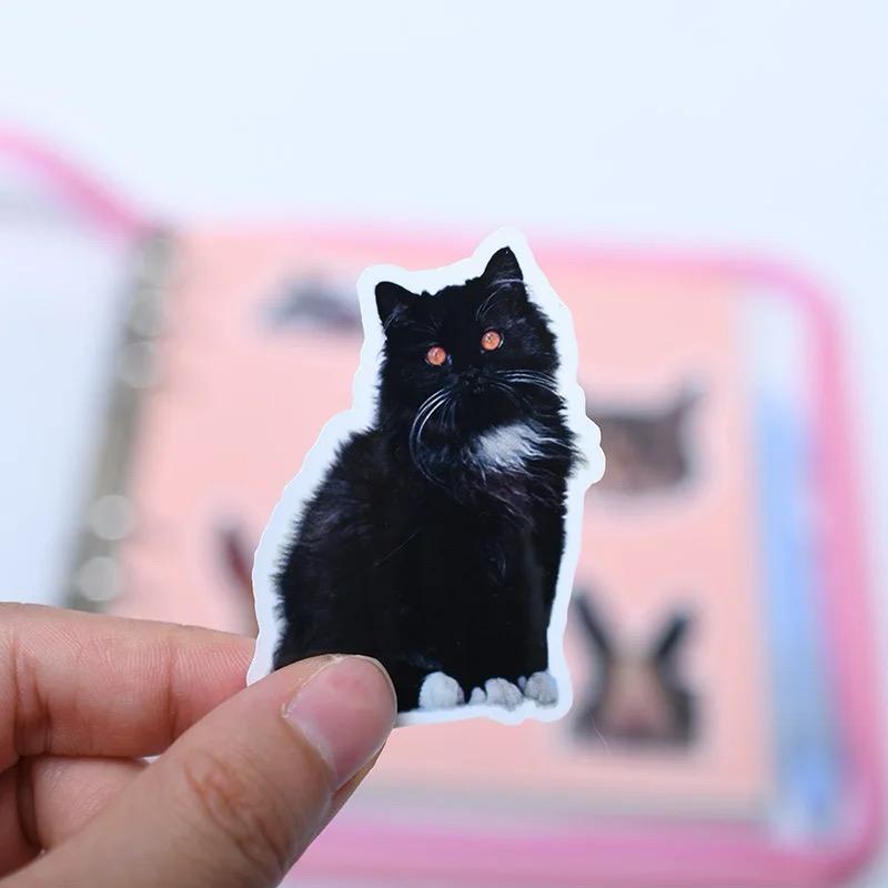 custom pet sticker set (10 pack)