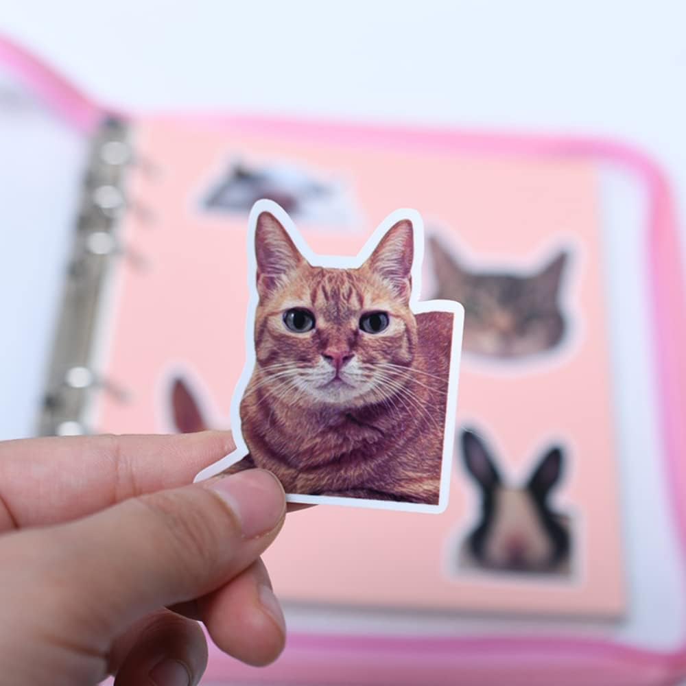 custom pet portrait sticker set (12 pack)