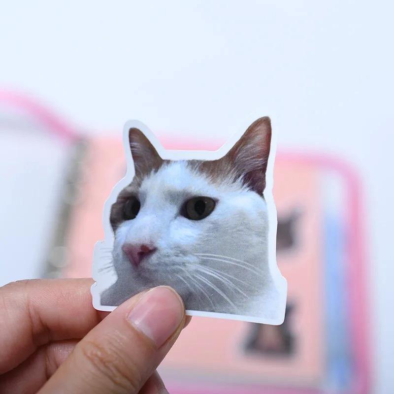 custom pet sticker set (10 pack)