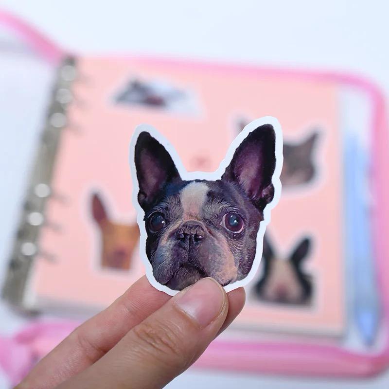 custom pet portrait sticker set (12 pack)